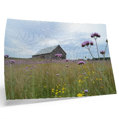Stijlvolle wandposter Landelijke schuur met paarse en gele bloemenweide