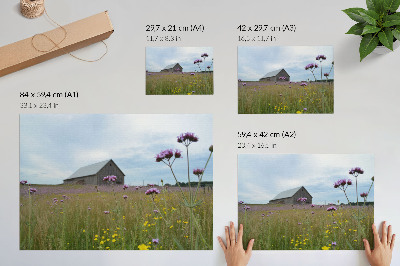 Stijlvolle wandposter Landelijke schuur met paarse en gele bloemenweide