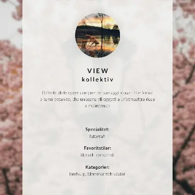 Moderne decoratieve poster zonsondergang boven de kalme zee met een varende boot