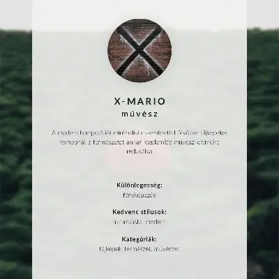 Moderne decoratieve poster met een brug over het meer in blauwe tinten voor rust en eenvoud