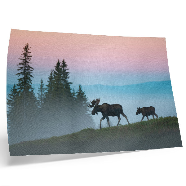 Stijlvolle wandposter Elk in de ochtend tegen de achtergrond van mist en bomen