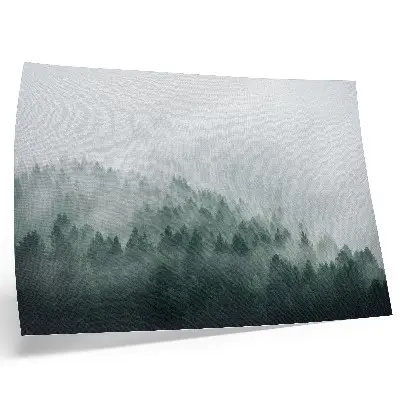 Wandposter Mistige bossen die rust en mysterie uitstraalt