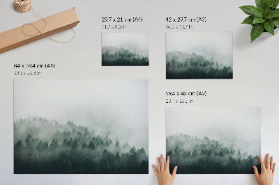 Stijlvolle wandposter Mistige bossen die rust en mysterie uitstralen.