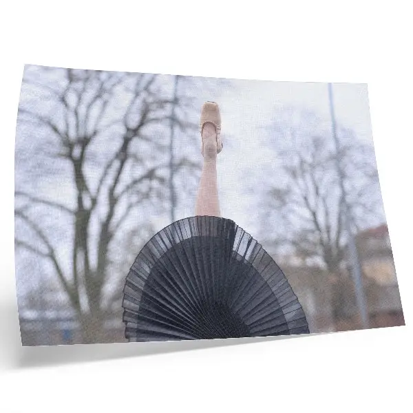 Poster met ballet, subtiliteit, harmonie en lokale sfeer