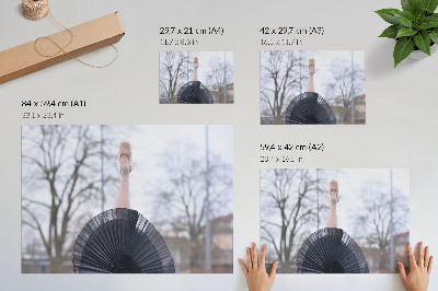 Poster Ballet, subtiliteit, harmonie, lokale sfeer