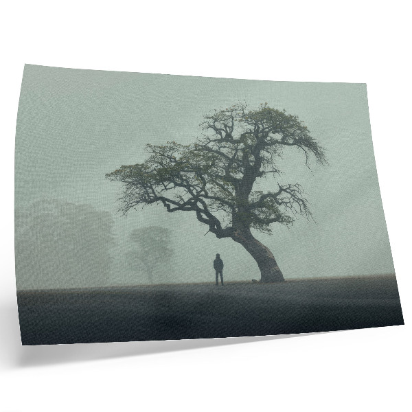 Moderne decoratieve poster Eenzame boom, mist, donker silhouet, atmosfeer