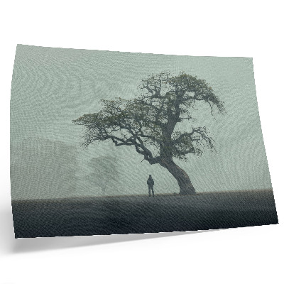 Moderne decoratieve poster Eenzame boom, mist, donker silhouet, atmosfeer