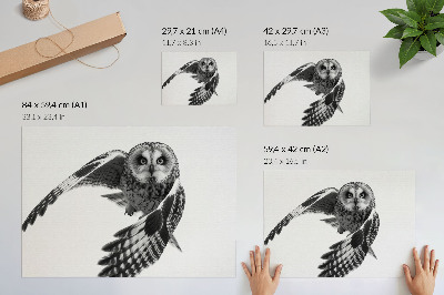 Stijlvolle wandposter Portret van een uil in vlucht, unieke elegantie, vredige sfeer