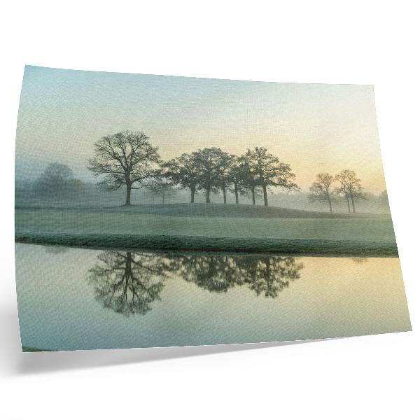 Moderne decoratieve poster Rustig wateroppervlak, weerspiegeling van bomen, zachte mist