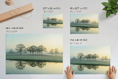 Moderne decoratieve poster Rustig wateroppervlak, weerspiegeling van bomen, zachte mist