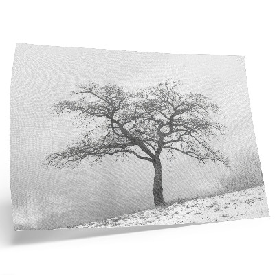 Poster Eenzame boom winter vrede minimalisme harmonie