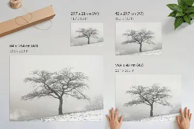Poster eenzame boom in de winter die vrede, minimalisme en harmonie uitstraalt