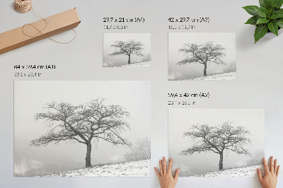 Poster Eenzame boom winter vrede minimalisme harmonie