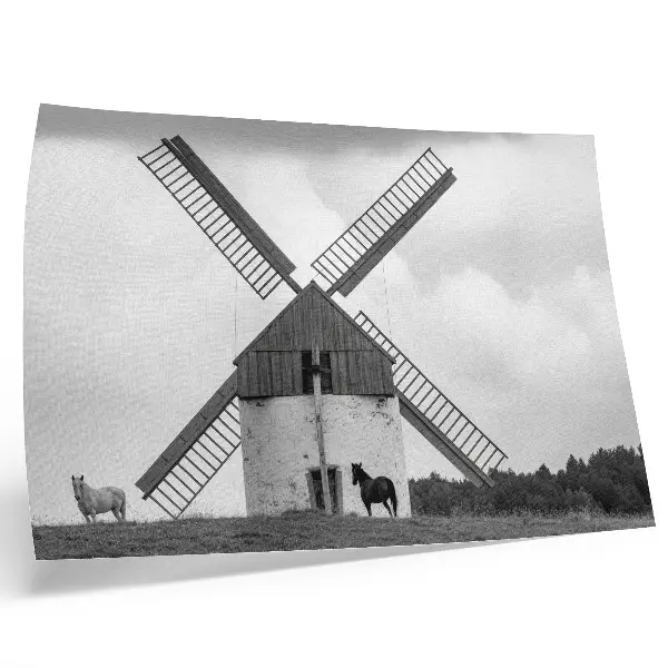 Poster zwart-witte windmolen in een veld met paarden