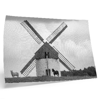 Poster Een zwart-witte windmolen in een veld met paarden.