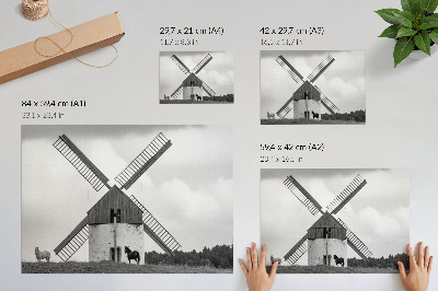 Poster Een zwart-witte windmolen in een veld met paarden.
