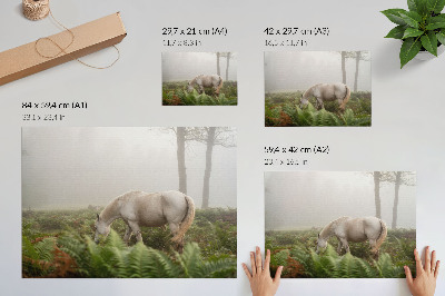Stijlvolle wandposter Een paard tegen een achtergrond van varens in een mistig bos.