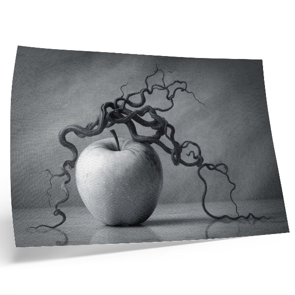 Moderne decoratieve poster Het contrast tussen de appel en de tak is harmonieus en monochroom.