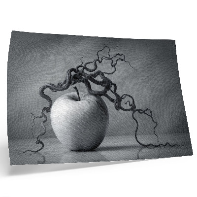 Moderne decoratieve poster Het contrast tussen de appel en de tak is harmonieus en monochroom.