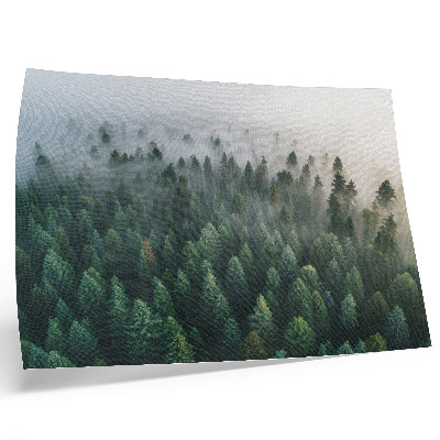 Stijlvolle wandposter Groen bos in de mist, sfeervol en mysterieus.