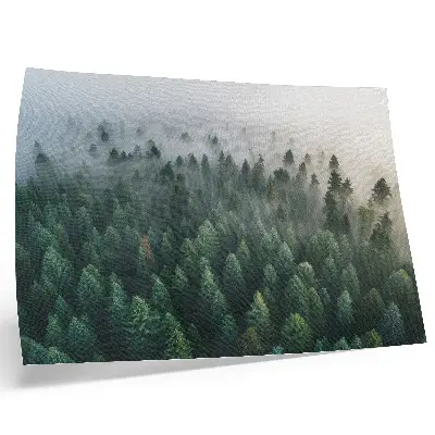 Wandposter Groen bos sfeervol en mysterieus in de mist