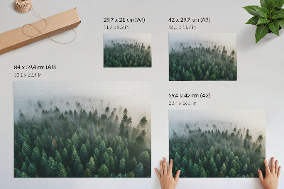 Stijlvolle wandposter Groen bos in de mist, sfeervol en mysterieus.
