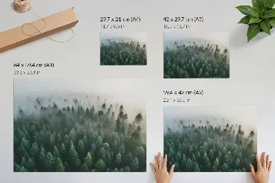 Wandposter Groen bos sfeervol en mysterieus in de mist