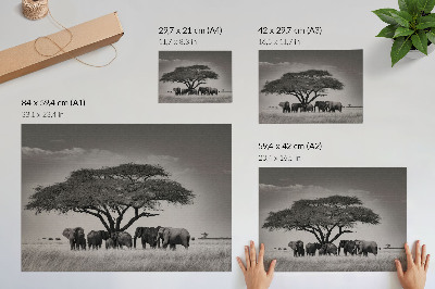 Moderne decoratieve poster Olifanten onder een boom in de Afrikaanse savanne.