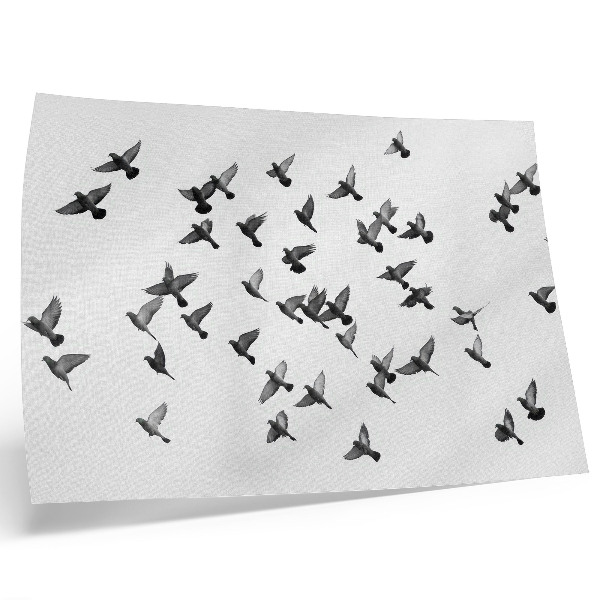 Stijlvolle wandposter Vogels in vlucht, elegante zwart-witte harmonieën
