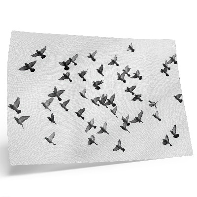 Stijlvolle wandposter Vogels in vlucht, elegante zwart-witte harmonieën