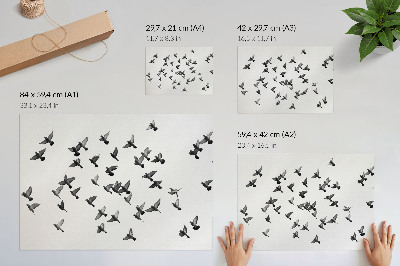 Stijlvolle wandposter Vogels in vlucht, elegante zwart-witte harmonieën