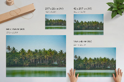 Stijlvolle wandposter Tropische palmen, kalm water, een harmonieuze hemel