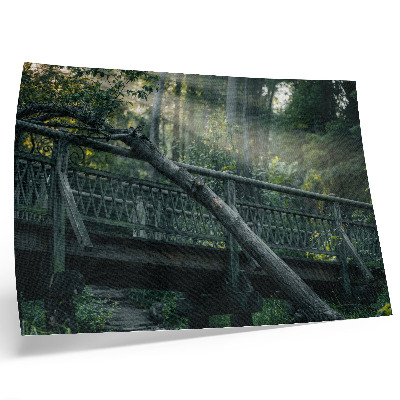 Stijlvolle wandposter Een houten brug te midden van groen en zonlicht.