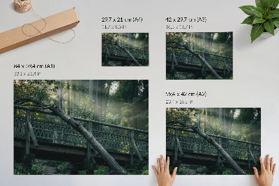 Stijlvolle wandposter Een houten brug te midden van groen en zonlicht.