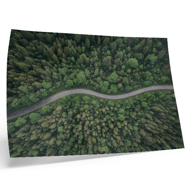 Stijlvolle wandposter Groene bosweg, kronkelend, vredige sfeer