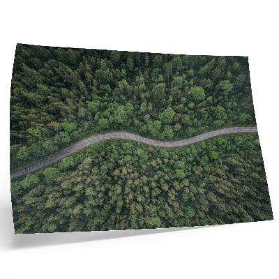 Stijlvolle wandposter Groene bosweg, kronkelend, vredige sfeer