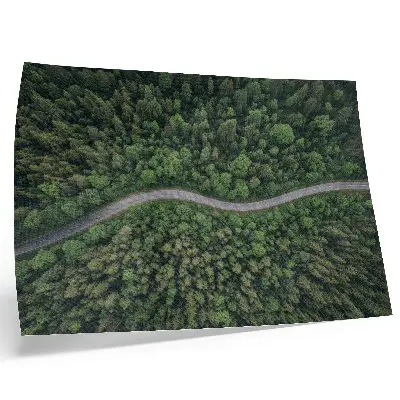 Wandposter met een vredig kronkelend bospad in het groen