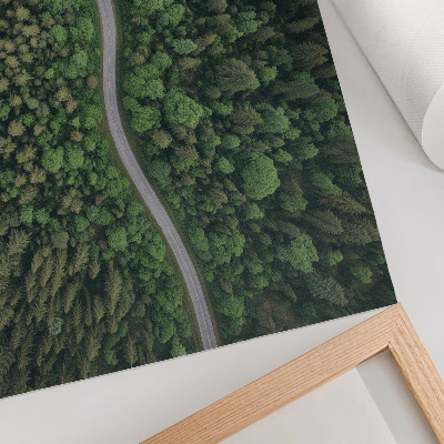 Stijlvolle wandposter Groene bosweg, kronkelend, vredige sfeer