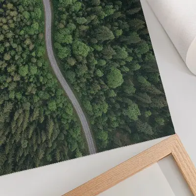 Wandposter met een vredig kronkelend bospad in het groen