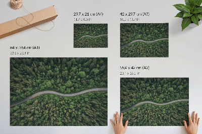 Stijlvolle wandposter Groene bosweg, kronkelend, vredige sfeer