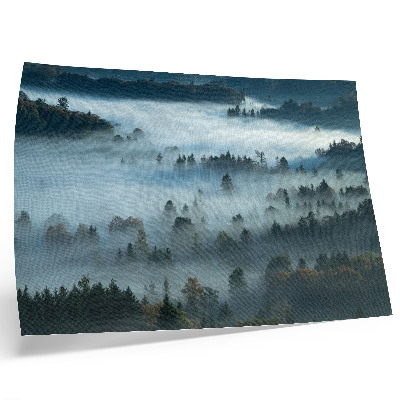 Poster Groene bomen in de mist, een vredige atmosfeer, ingetogen kleuren.