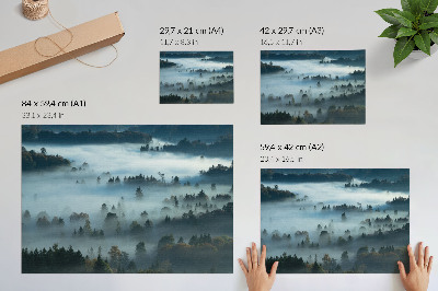 Poster Groene bomen in de mist, een vredige atmosfeer, ingetogen kleuren.