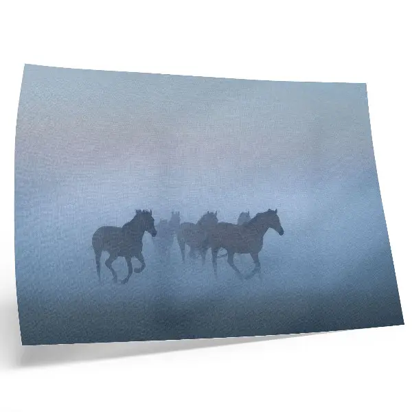 Wandposter Paarden in de mist een rustgevende compositie vol vrede