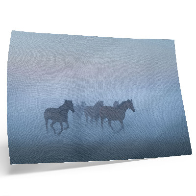 Stijlvolle wandposter Paarden in de mist, een rustgevende compositie vol vrede.