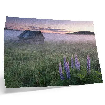 Poster pittoresk houten huisje in de mist tussen de bloemen in de natuur