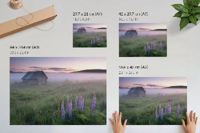 Poster Houten huisje, pittoresk, mist, bloemen, natuur
