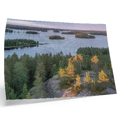 Wandposter dennenbos met eiland en pastelkleurige lucht stijlvolle wanddecoratie