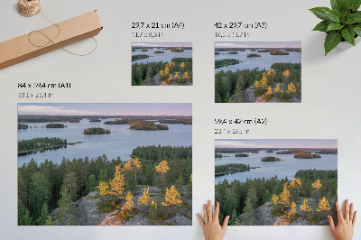 Stijlvolle wandposter Dennenbos eiland meer pastelkleurige lucht