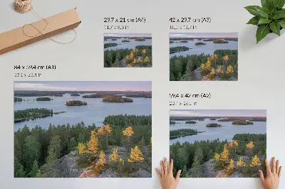 Wandposter dennenbos met eiland en pastelkleurige lucht stijlvolle wanddecoratie