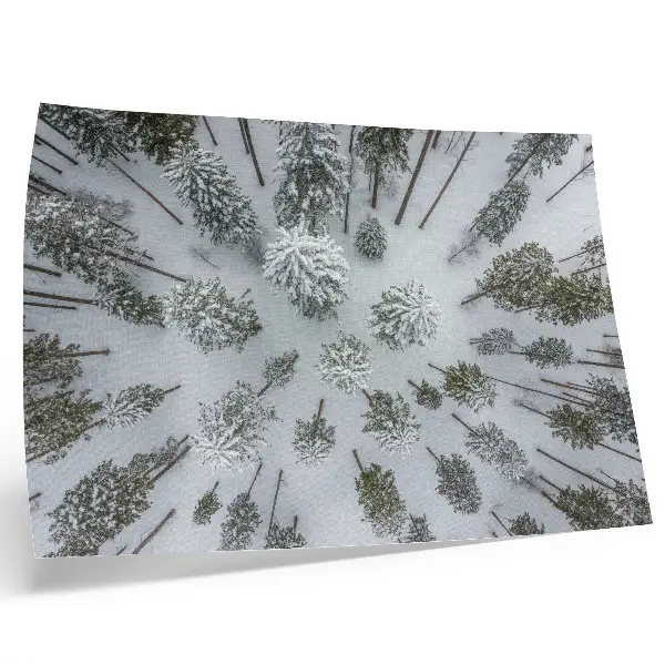 Moderne decoratieve poster winterse bosrust met een minimalistische uitstraling
